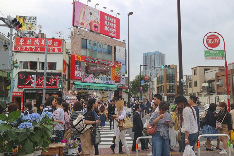 hinh 1.jpg hinh 1.jpg